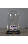 Cupola de sticlă de la Zodiac (Scorpion) cu o lățime de maximum 10 mm