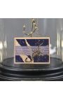 Cupola de sticlă de la Zodiac (Scorpion) cu o lățime de maximum 10 mm