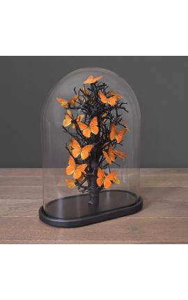 Sommerfuglar &quot;Appias Nero&quot; under oval glasskugle
