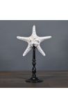 Estrella del mar Protoreaster Nodosus muntat sobre una base de fusta negra