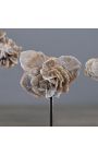 Set of 3 roses of sands on black metal support