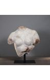 Kiparstvo Ženski helenistični bust bežno kovinsko črno stojalo