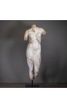 Gran escultura de busto académico Venus Grande metal negro stand