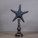 Etoile de mer "Protoreaster Nodosus" noire montée sur un socle en bois