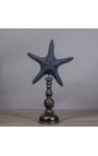 Etoile de mer "Protoreaster Nodosus" noire montée sur un socle en bois