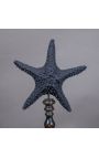 Etoile de mer "Protoreaster Nodosus" noire montée sur un socle en bois