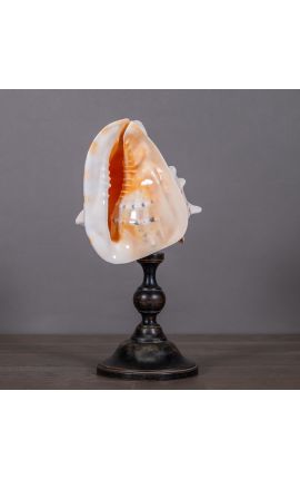 Bola con conchas grises en baluster de madera (Dupliqué)