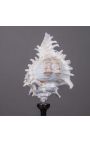 Bursa Burbo" shell mounted on black wooden baluster patinated (Dupliqué)