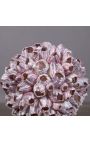 Murex Ramorous" shell mounted on black wooden baluster patinated (Dupliqué)