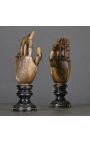 Ensemble de 2 mains articulées sur socle en bois noirci