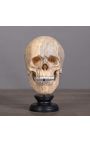 Ljudska lubanja "Memento Mori" na drvenoj osnovi (Dupliqué)
