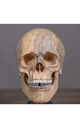 Crânio humano &quot;Memento Mori&quot; apresentado na base de madeira (Dupliqué)