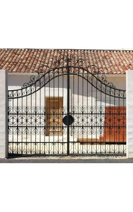 Portão do castelo, barroco, ferro forjado com duas portas