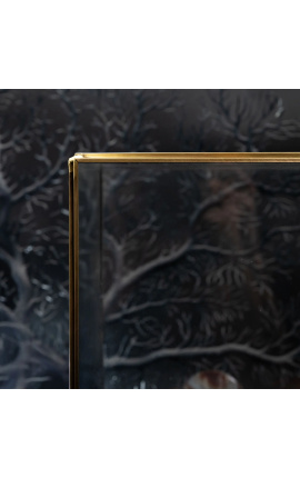 Vertical glass display box with crisp lines transparent with golden metal frame - 2