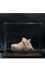 Coffret horizontal en verre monté sur un support métallique doré - 4