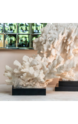 Коралл, установленный на деревянной основе "Acropora Florida" - Модель 1 - 9