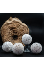 Sphère en Agate Mexicaine - 1