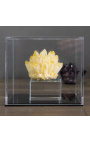 Square Acrylic Glass Display Case - 1
