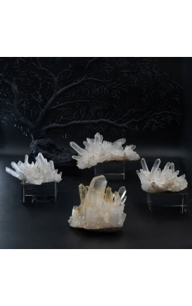 Groot blok malachiet gepresenteerd op een Black Metal Base (Dupliqué) (Dupliqué) (Dupliqué) - 7 - 2