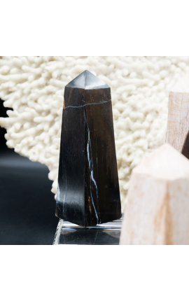 2 Petrified puit Obelisks - 2 suurused - 2