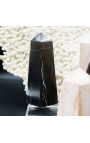 Set di 2 obelischi in legno pietrificati - 2 taglie disponibili - 2