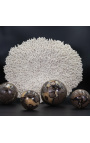 Sfera septarului - 3 dimensiuni disponibile - 2