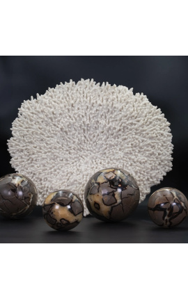 Seppterium sfera - 3 velikosti na voljo