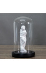 Trio av greske gipsstall under Glass Globe - 3