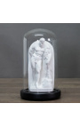 Trio di figure in gesso greco sotto il globo di vetro - 5