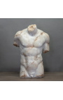 Suurepärane suur torso skulptuur Discophora - 1