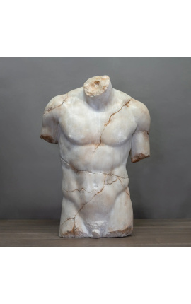 Herrliche große Torso-Skulptur von Discophora - 1