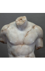 Suurepärane suur torso skulptuur Discophora - 2