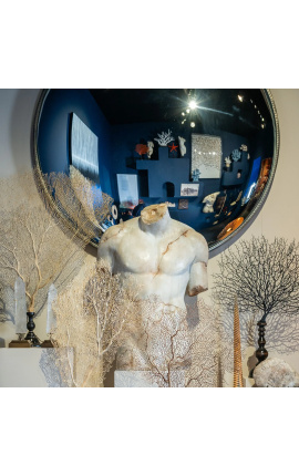 Nádherná veľká torzorská socha diskofora - 5