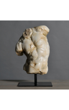 Γλυπτική "Beige Apollo's Torso" σε Black Metal Support - 1