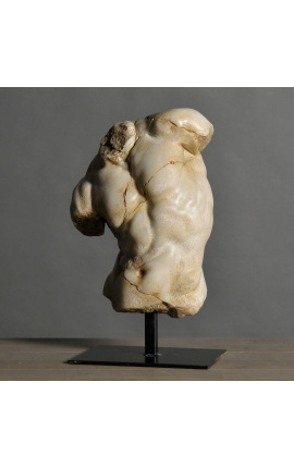 Sculpture "Beige Apollo's torso" on black metal support - 2