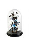 Large glass dome with exotic white and blue butterflies - 50 cm - 1