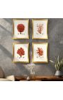Rektangulær gravering med korall og gullram - 50 cm x 40 cm - Modell 1