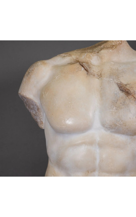 Grande sculpture de torse d'Apollon au drapé sculpté sur support métallique noir - 2