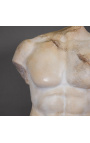 Stor Torso Skulptur av Apollo med draped snidad på svart metallbas - 2
