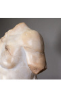 Stor torso skulptur af Apollo med draperet udskåret på sort metalbase - 3