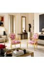 [Limited Edition] Louis XVI Poltrona de estilo barroco com tecido Tile de Jouy e madeira dourada - 8