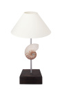 Lampe avec coquillage (Nautile Naturel) sur base en acajou