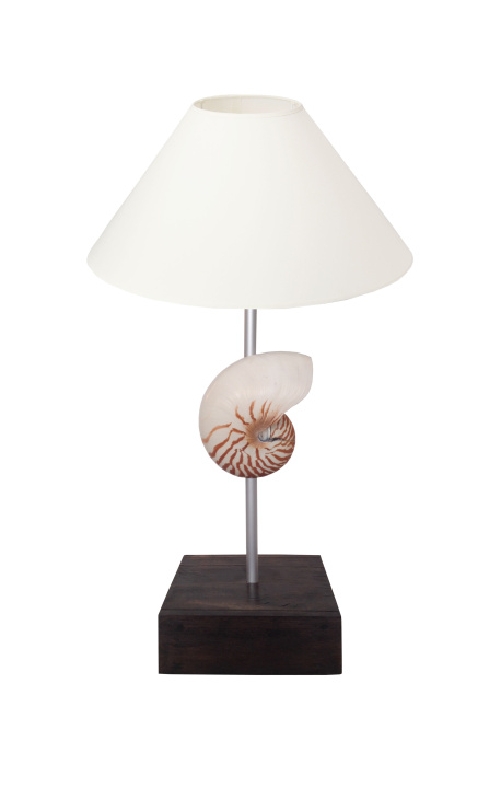 Lampa med snäckskal (Natural Nautilus) på mahognyfot 