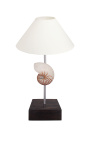 Lampe avec coquillage (Nautile Naturel) sur base en acajou