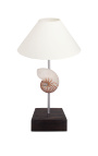 Lampa s mušlí (Natural Nautilus) na mahagonovém podstavci 