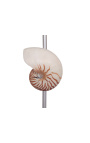 Svetilka s školjko (Natural Nautilus) na podstavku iz mahagonija 