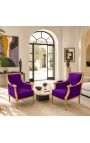 Grandi Bergère poltrona Louis XVI stile velluto viola e legno dorato - 6