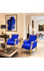 Nagy Bergère karchairLouis XVI stíluskék bársony és zsúfolt fa - 11