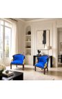 Large bergère Empire style velvet blue and mahogany wood - 12