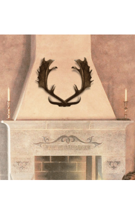 Pravý rohový paroh z jelena pro dekoraci stěn
